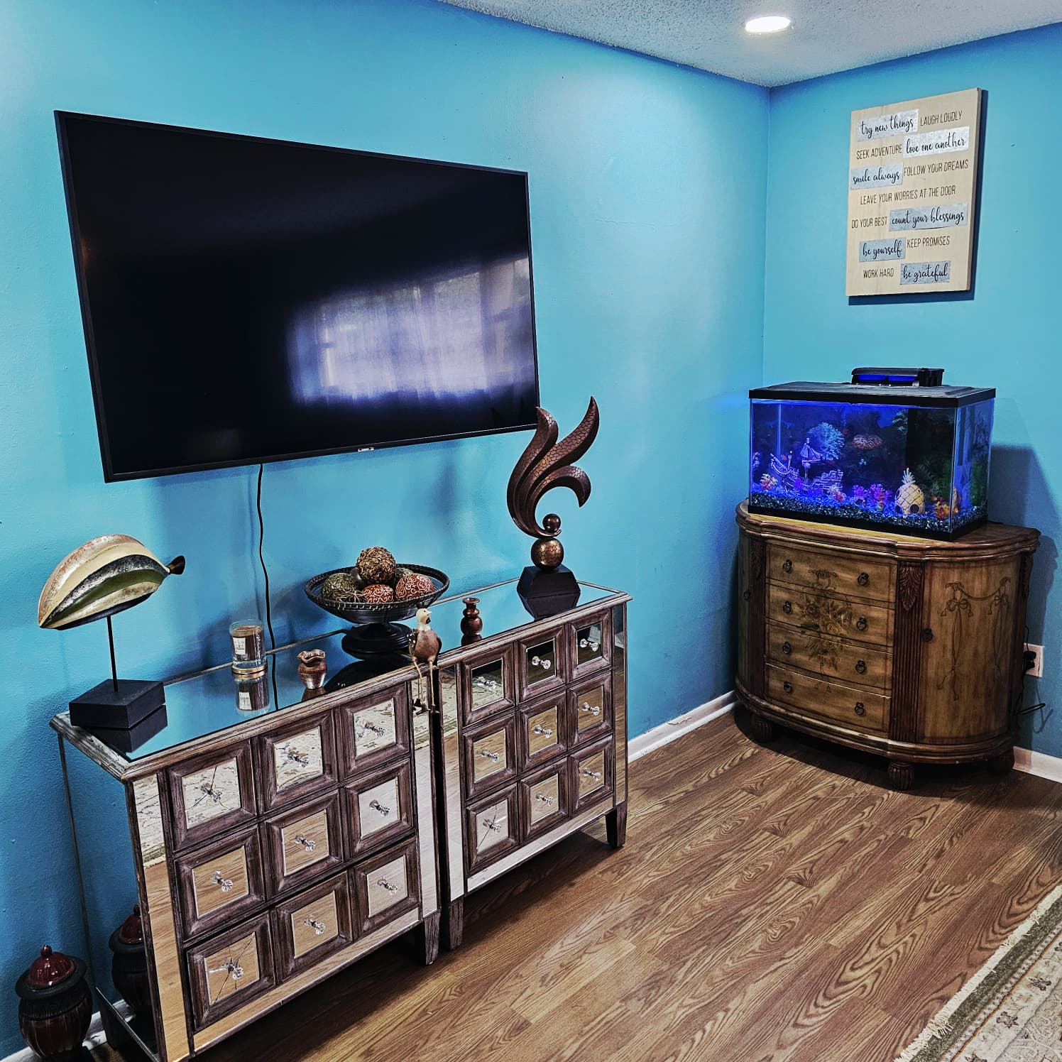 TV area with aquarium and decorative furnishings
